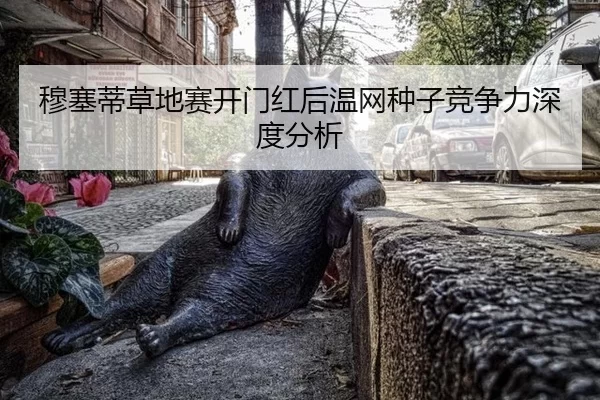 穆塞蒂草地赛开门红后温网种子竞争力深度分析